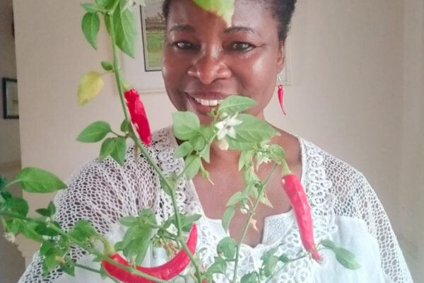 Grow Your Own Peppers: A Simple Step Toward Food Security and Sustainability Grow Your Own Peppers A Simple Step Toward Food Security and Sustainability