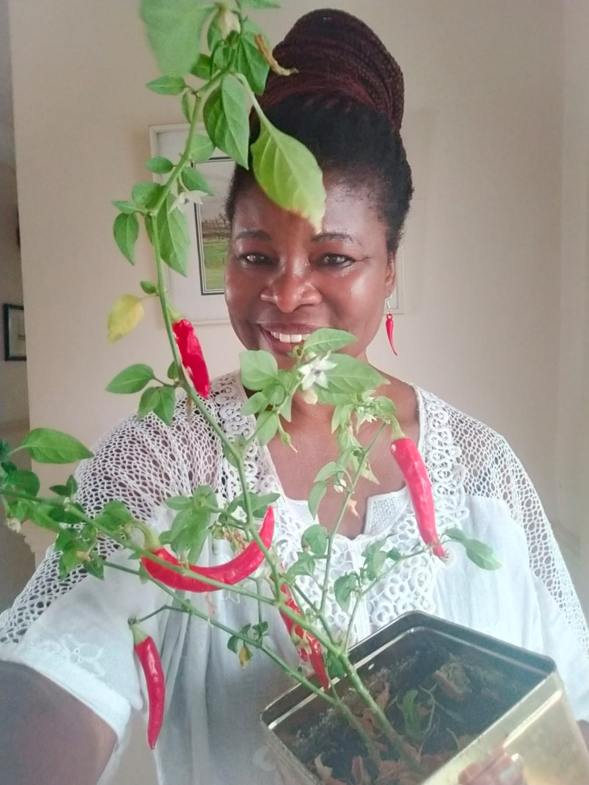 Grow Your Own Peppers A Simple Step Toward Food Security and Sustainability